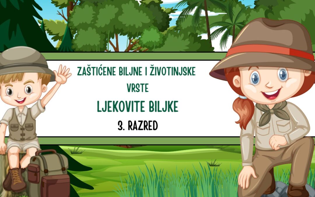 Istraživački rad učenika 3. razreda