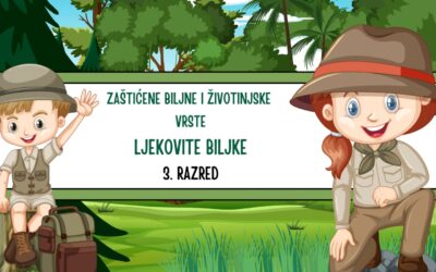 Istraživački rad učenika 3. razreda