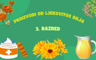 Učenici 3. razreda izrađivali prirodnu kremu od nevena i sok od bazge