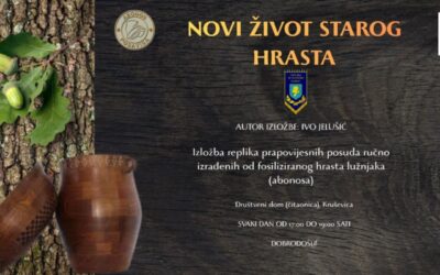 Novi život starog hrasta