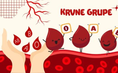 Učimo krvne grupe